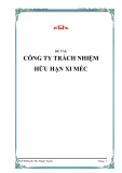 ĐỀ TÀI:"  XỬ LÝ NƯỚC THẢI CÔNG TY TRÁCH NHIỆM  HỮU HẠN XI MÉC "