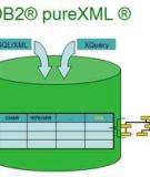 Xây dựng một ứng dụng pureXML và JSON