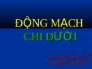 ĐỘNG MẠCH CHI DƯỚI