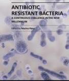 ANTIBIOTIC RESISTANT BACTERIA – A CONTINUOUS CHALLENGE IN THE NEW MILLENNIUM