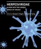 HERPESVIRIDAE – A LOOK INTO THIS UNIQUE FAMILY OF VIRUSES 