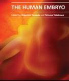 THE HUMAN EMBRYO 