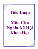 Tiểu Luận Môn Chủ Nghĩa Xã Hội Khoa Học