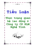 Tiểu Luận: Thực trạng quan hệ lao động ở Công ty CP KLM Nghệ Tĩnh