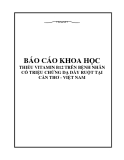 Báo cáo khoa học: THIẾU VITAMIN B12 TRÊN BỆNH NHÂN CÓ TRIỆU CHỨNG DẠ DÀY RUỘT TẠI CẦN THƠ - VIỆT NAM