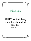 Tiểu Luận: OFDM và ứng dụng trong truyền hình số mặt đất DVB-T