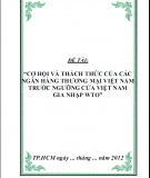 Cơ hội và thách thức của các ngân hàng thương mại việt nam trước ngưỡng cửa việt nam gia nhập WTO 