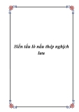 biến tấu lò nấu thép nghịch lưu