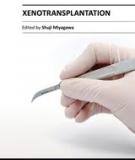 XENOTRANSPLANTATION 