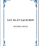 Sản xuất sạch hơn ngành cao su 