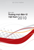 Báo cáo  về thương mại điện tử Việt Nam năm 2010