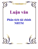 Luận văn: Phân tích tài chính NHTM