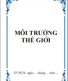 Môi trường thế giới 