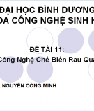 Đề tài: Công nghệ chế biến rau quả 