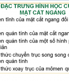 Đặc trưng hình học  mặt cắt ngang 