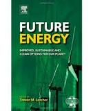 Energy Options for the Future*