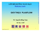 Giới thiệu PlaxFlow