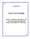 Luận văn tốt nghiệp: Chiến lược Marketing - mix với việc mở rộng thị trường của Công ty Kính Đáp Cầu - Bắc Ninh - Đặng Quyết Chiến