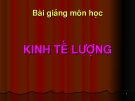 Bài giảng học môn KINH TẾ LƯỢNG