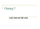 Giáo Án Pháp luật đại cương  - Chương  7: LUẬT HÌNH SỰ VIỆT NAM