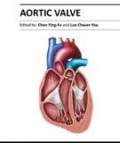 AORTIC VALVE