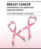 BREAST CANCER – CARCINOGENESIS, CELL GROWTH AND SIGNALING PATHWAYS