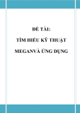 Đồ án tốt nghiệp - Phân tích thiết kế hệ thống - TÌM HIỂU KỸ THUẬT MEGAN VÀ ỨNG DỤNG 