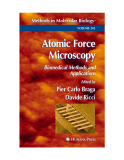 Atomic Force Microscopy