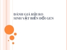 Đánh giá rủi ro sinh vật biến đổi gen 