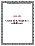 Chuyên đề: Kỹ thuật chăn nuôi chim cút