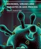 MICROBES, VIRUSES AND PARASITES IN AIDS PROCESS