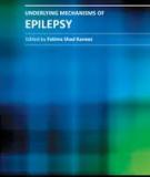 UNDERLYING MECHANISMS OF EPILEPSY