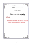 LUẬN VĂN:HỆ THÔNG TIN ĐIỀU HÀNH TÁC NGHIỆP DÀNH CHO ĐIỆN THOẠI DI ĐỘNG