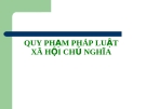 Bài giảng:PLĐC QUY PHẠM PHÁP LUẬTXÃ HỘI CHỦ NGHĨA