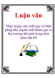 Luận văn: Thực trạng sản xuất gạo và biện pháp đẩy mạnh xuất khẩu gạo ra thị trường thế giới trong thời gian sắp tới