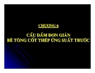 Thiết kế cầu bê tông cốt thép - Chương 6