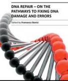 DNA REPAIR − ON THE PATHWAYS TO FIXING DNA DAMAGE AND ERRORS