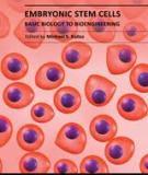 EMBRYONIC STEM CELLS –  BASIC BIOLOGY TO BIOENGINEERING  
