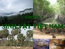 Chương 7: Sinh vật Việt Nam