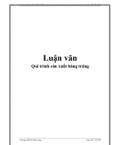 Luận văn đề tài: : Qui trình sản xuất báng tráng