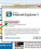 Những tiện ích bảo mật tốt nhất cho Internet Explorer.