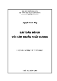 Luận văn: Bài toán tối ưu với hàm thuần nhất dương