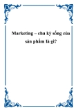 Marketing – chu kỳ sống của sản phẩm là gì?