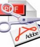 Nâng cấp Adobe Reader và ngăn chặn Zeus
