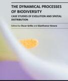 THE DYNAMICAL PROCESSES OF BIODIVERSITY – CASE STUDIES OF EVOLUTION AND SPATIAL