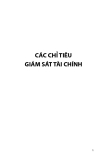 CÁC CHỈ TIÊU GIÁM SÁT TÀI CHÍNH