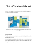 "Đại sứ" brochure hiệu quả