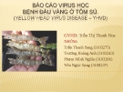 Báo cáo virus học bệnh đầu vàng ở tôm sú