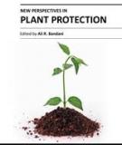 NEW PERSPECTIVES IN PLANT PROTECTION