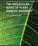 THE MOLECULAR BASIS OF PLANT GENETIC DIVERSITY